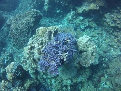 Red sea October 2012